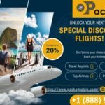 How To Book Spirit Airlines Group Travel? Everything You Should Know