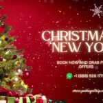 Christmas in New York